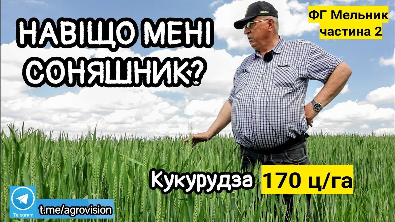 Тільки не соняшник! Якщо є кукурудза по 17т/га. Не хочу залишити дітям пустелю. Бізнес в 66