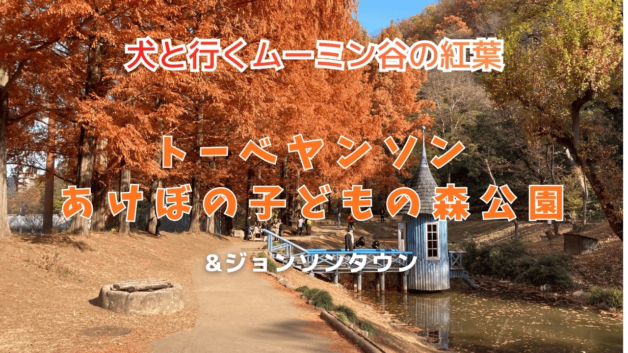 🍁🐾【埼玉でムーミン？！】飯能「トーベヤンソンあけぼの子どもの森公園」で北欧童話の世界で愛犬と過ごす！｜ジョンソンタウンでランチも満喫