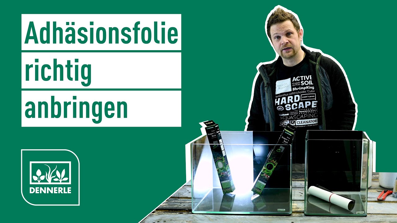 Aquarium Adhäsionsfolie richtig anbringen | Nano Scaper's Back | DENNERLE