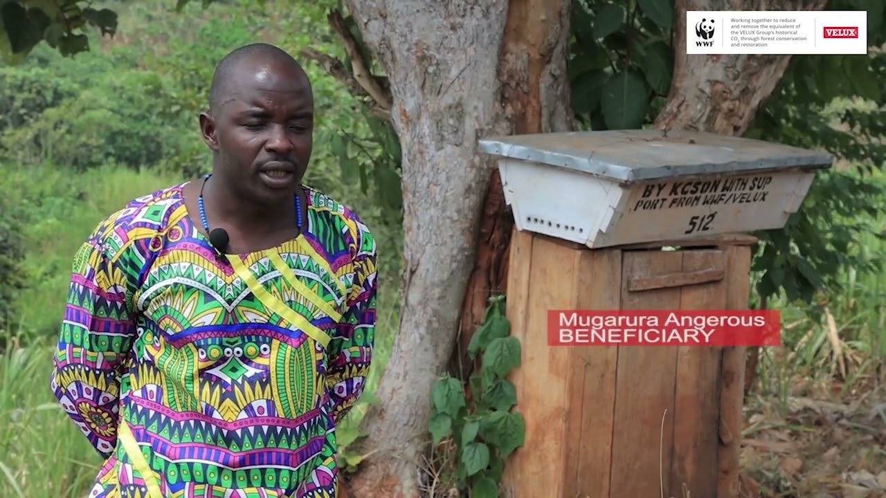 Impact Stories from the FRECAR Project: Forest Restoration and Carbon Absorption in Uganda