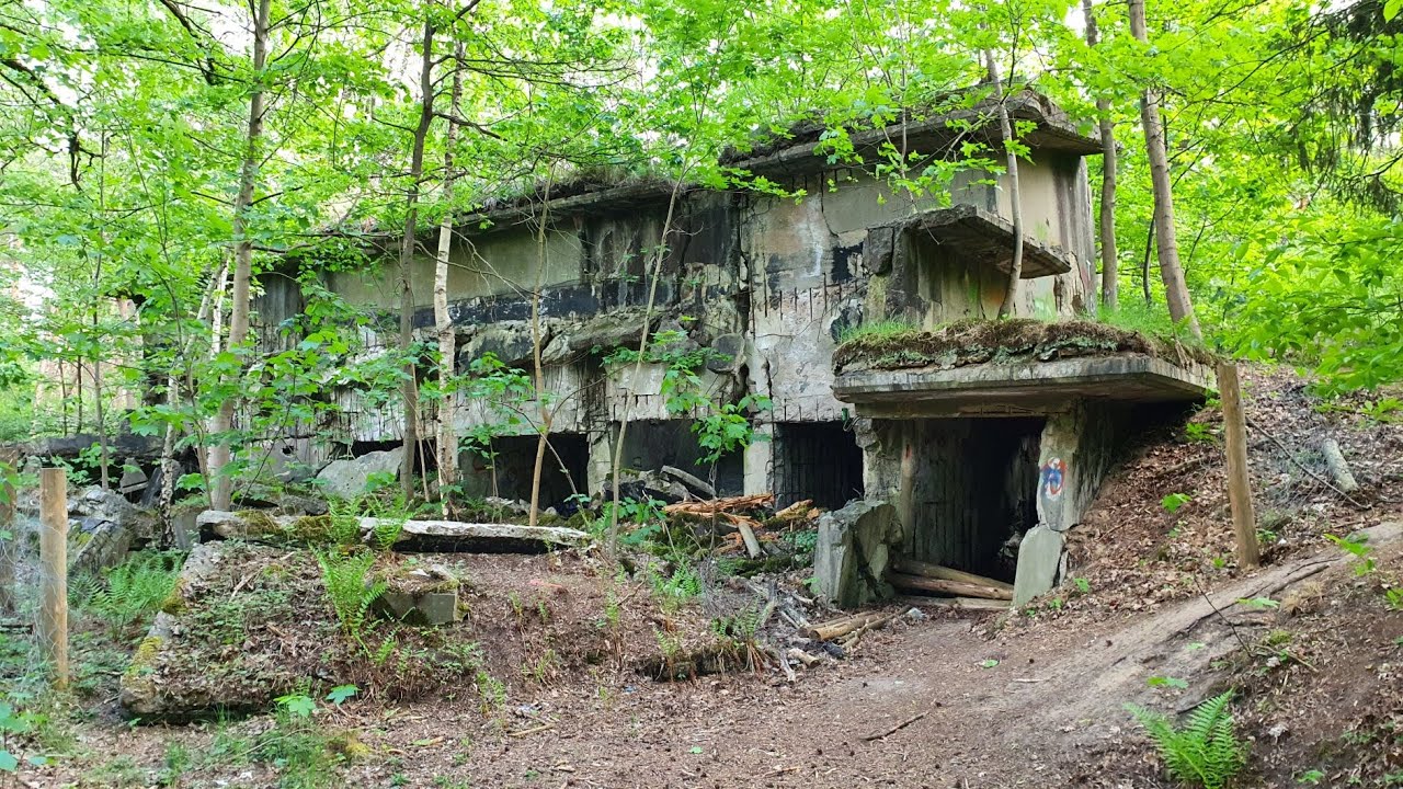 Spaziergang im Bunkerwald