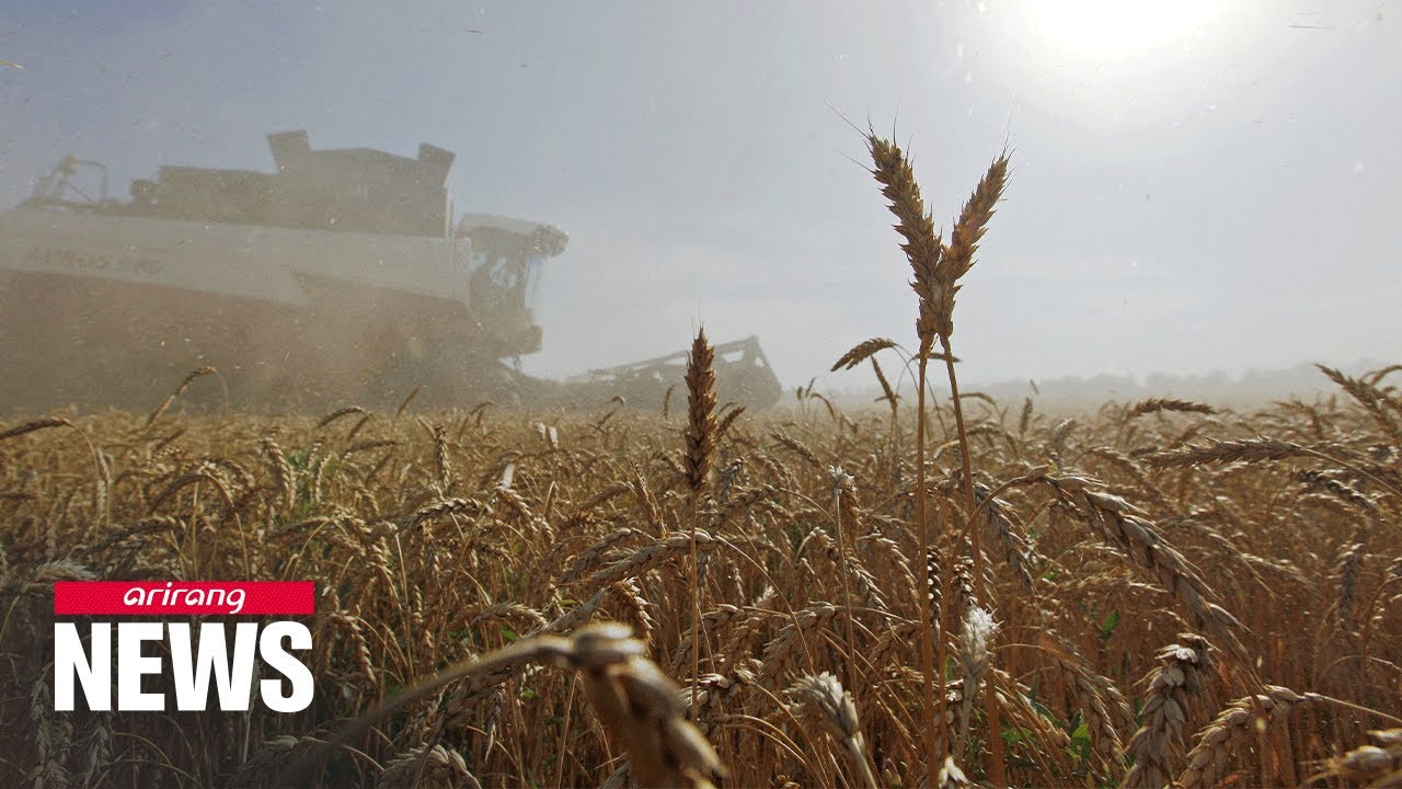 Prices of imported crops increase 47% in 2 yrs, reaching highest price in almost 9 yrs