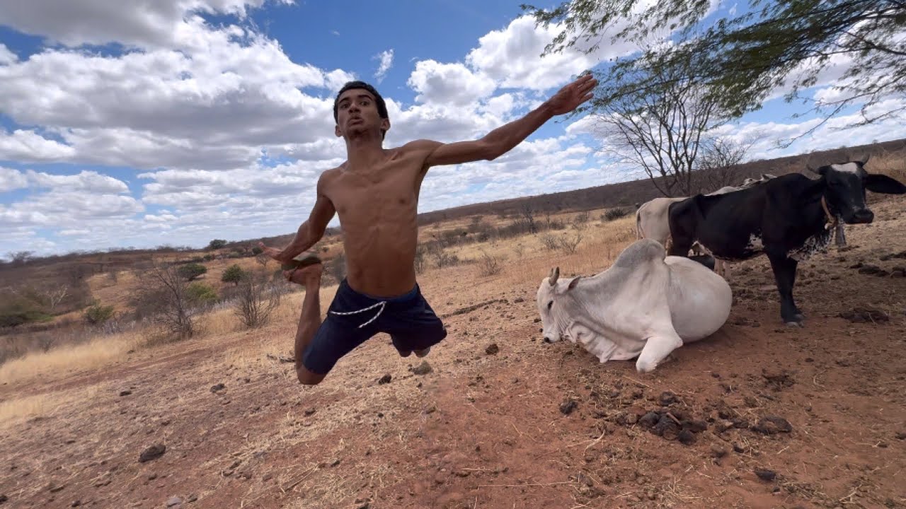 TOURO BRAV0 AT4CA O BRUTlNHO E SE DA MUITO MAL VLOG DE 1 hora