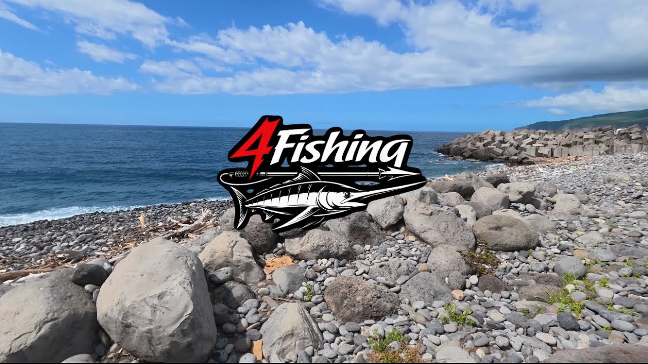 Episode 2 : Session chasse sous marine aux fond de mer du port 🌊🇷🇪