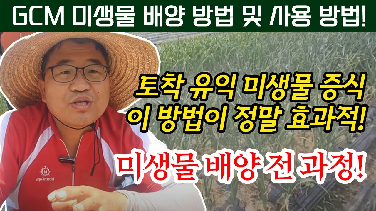 작물(마늘.양파.고추.오이.호박 등) 재배지 미생물 배양방법 및 사용방법 자세히 알려드립니다!