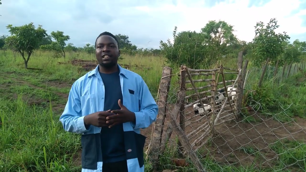 100 GOATS IS POSSIBLE WITHIN A YEAR