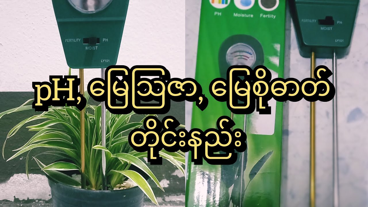 pH ,မြေသြဇာ,မြေစိုဓာတ် တိုင်းနည်း (pH, Moist, Fertility Tester) 3in1 tester @ktlfarmer