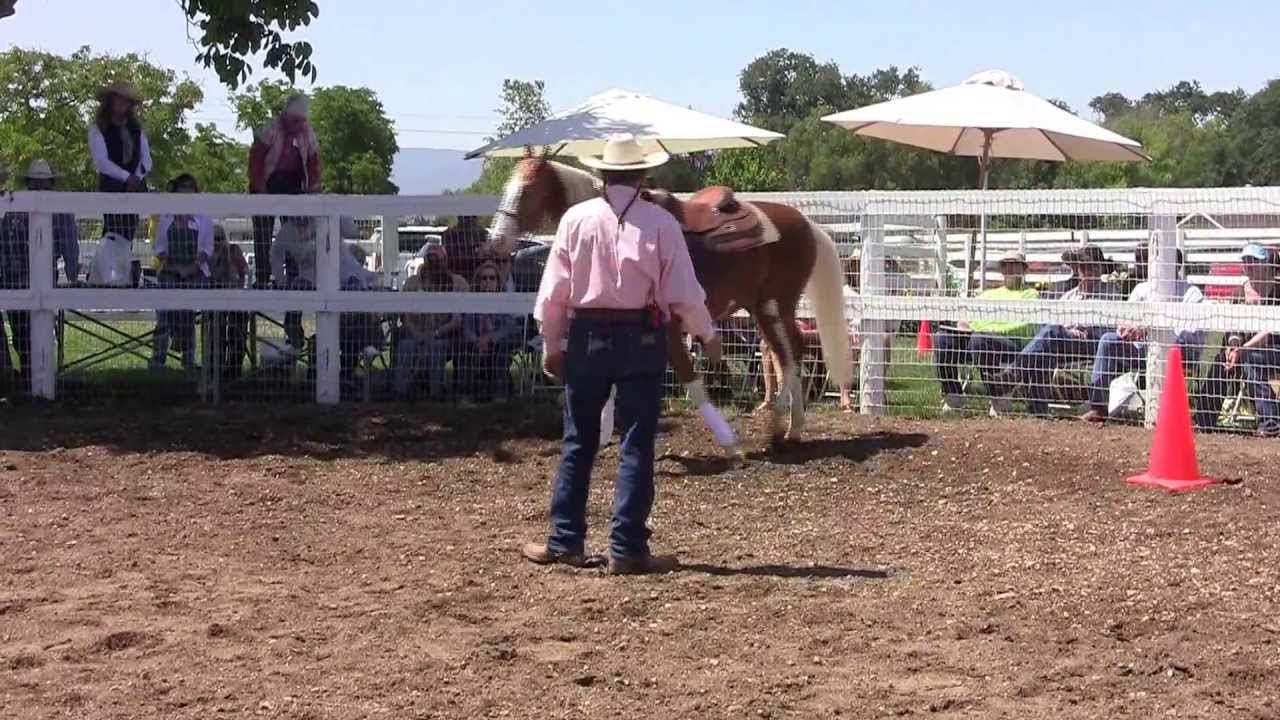 Cowboy Dressage at Light Hands Horsemanship part 1