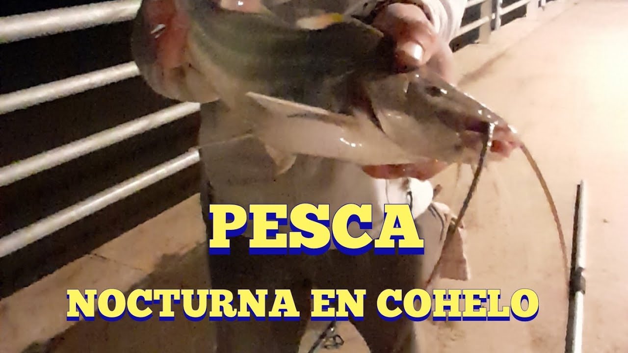 PESCA nocturna EN cohelo , San Fernando ,bs as , ARGENTINA//PESCA2022//pesca en buenos aires//