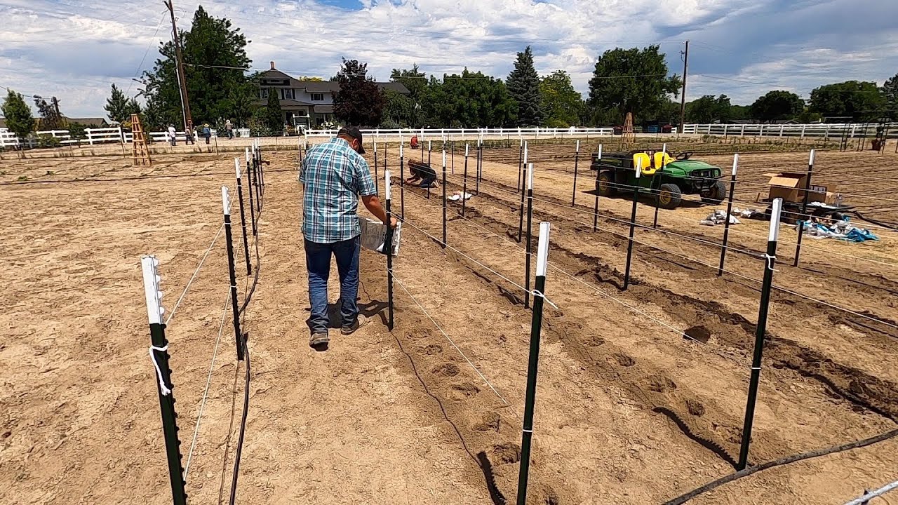 Finally Planting Dahlias! 🤪🙌💚// Garden Answer