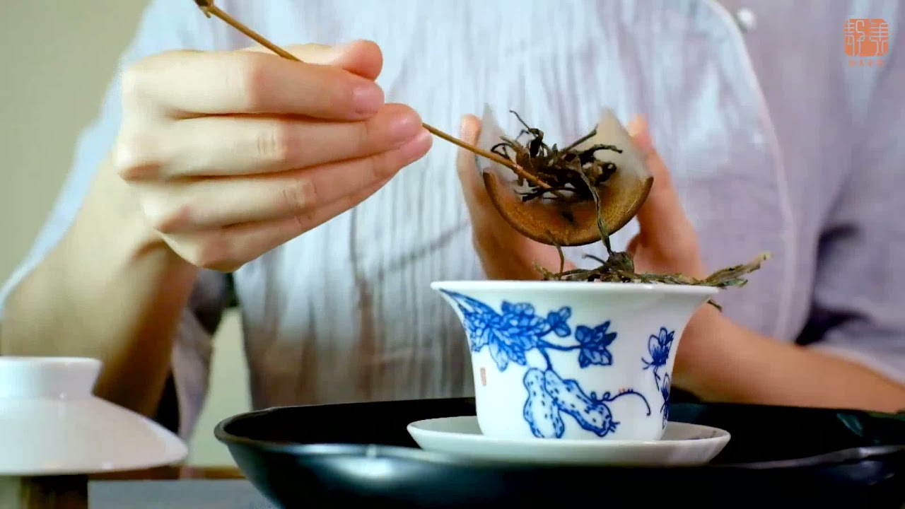 茶艺丨第三课：保山古树生普洱茶的冲泡方法