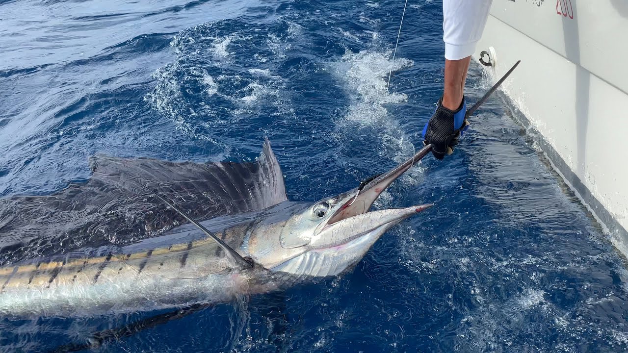 La Réunion Fishing Club 2022