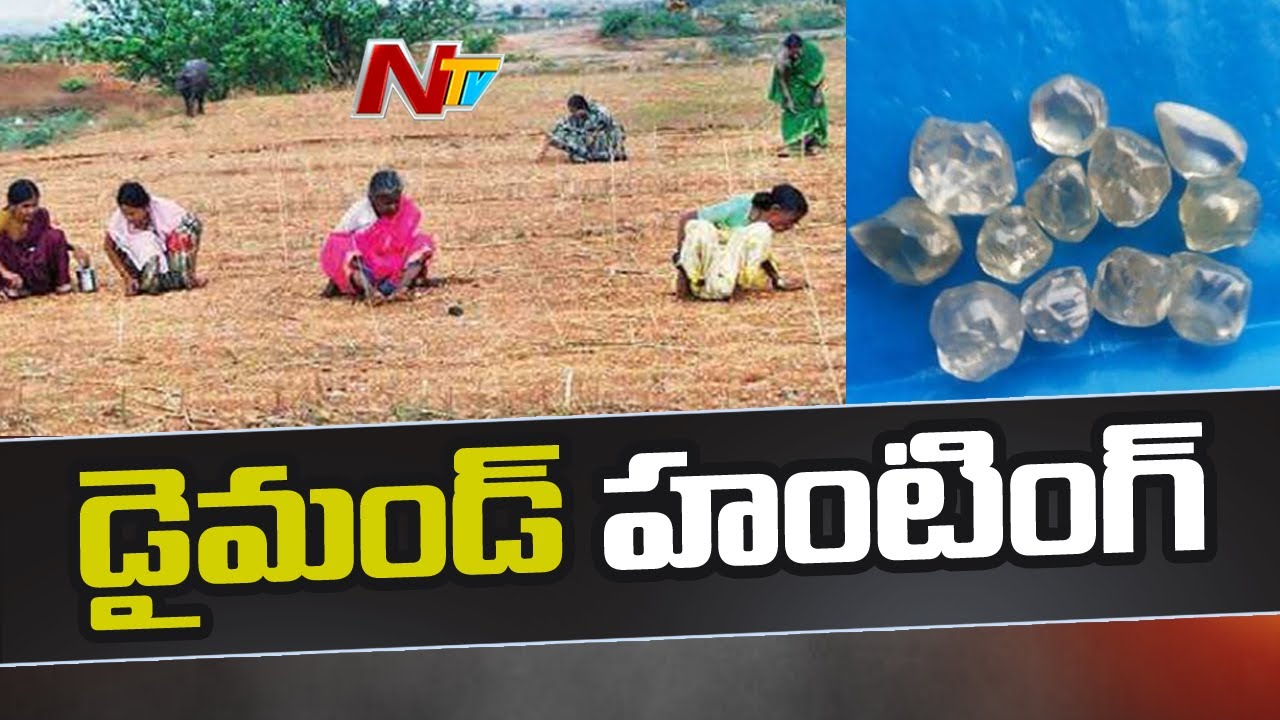 కర్నూలు జిల్లాలో వజ్రాల వేట | Hunt For Diamonds In Kurnool District | NTV