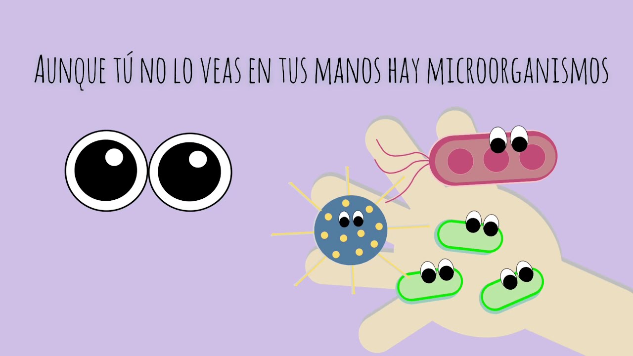 Experimento || ¿Bacterias, virus y hongos en tus manos? || Ciencia para niños