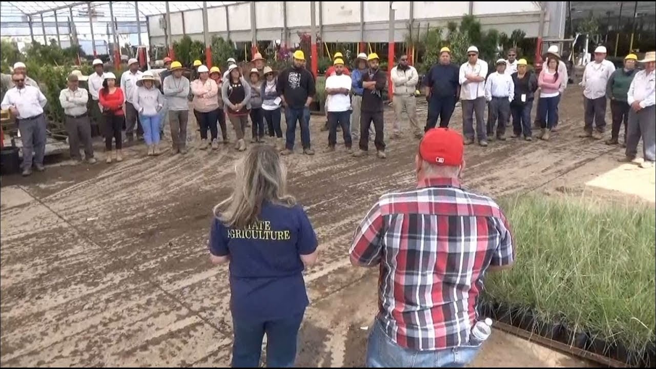 Proper Training is Key to Success for Nursery Stock Approved Treatment Program