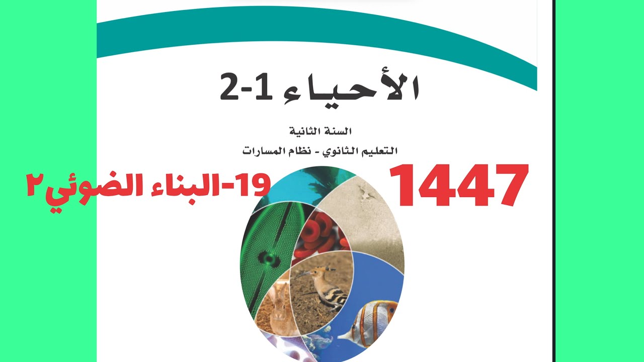 ١٩- البناء الضوئي ٢ ( أحياء ثاني ثانوي 1447 )