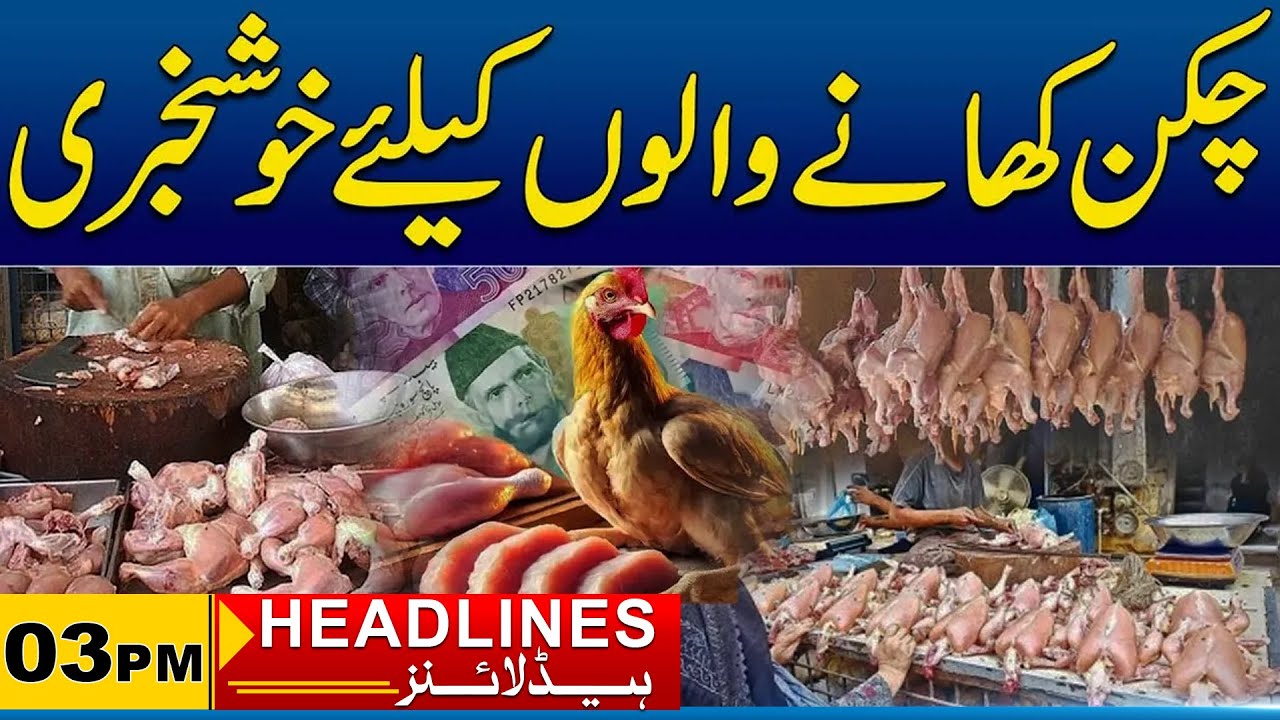 Good News For Chicken Lover | 3PM News Headlines I 08 Feb 2026 I City 41
