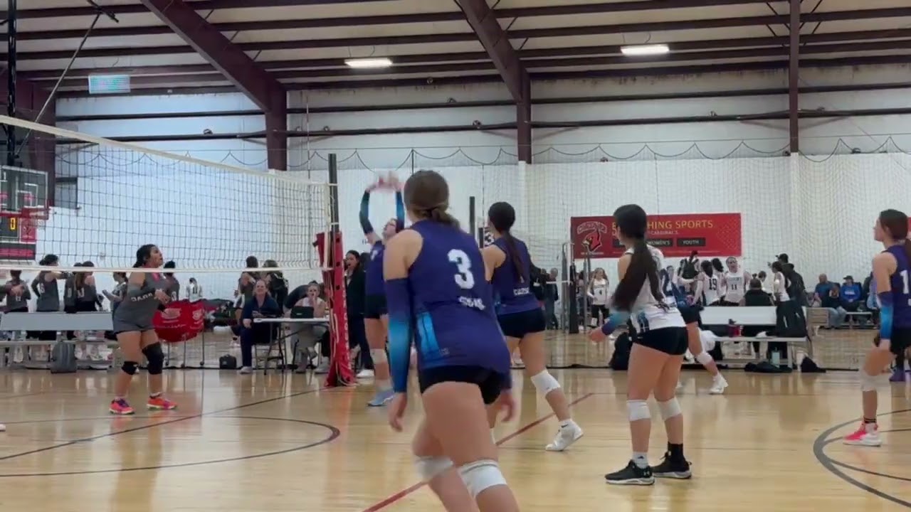 Ava club volleyball 