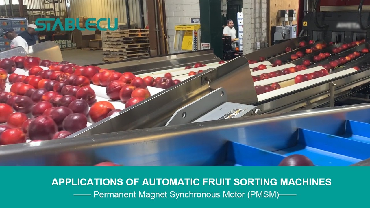 🍊 Smart Sorting Starts with Precise Speed Control