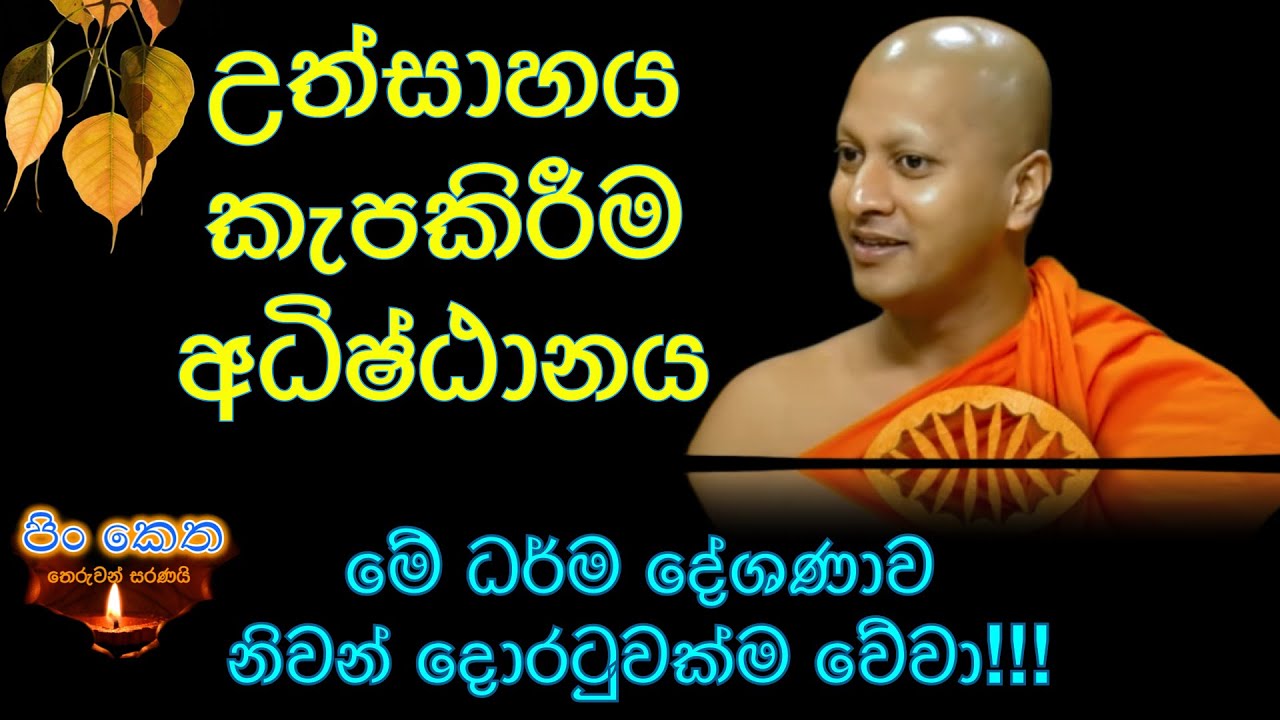 Ven Hadigalle Chandaloka thero #banakatha #dharmadeshana #darmaya #budhism #thebuddhist