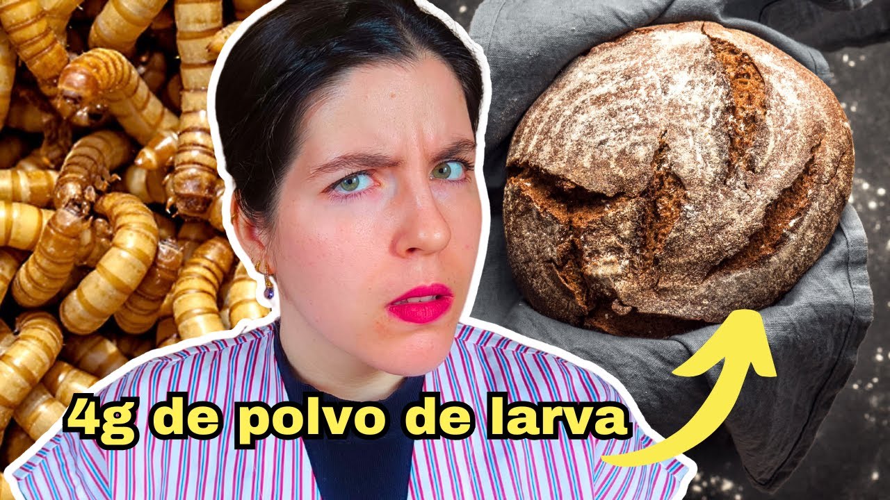 INSECTOS en la comida, la nueva realidad