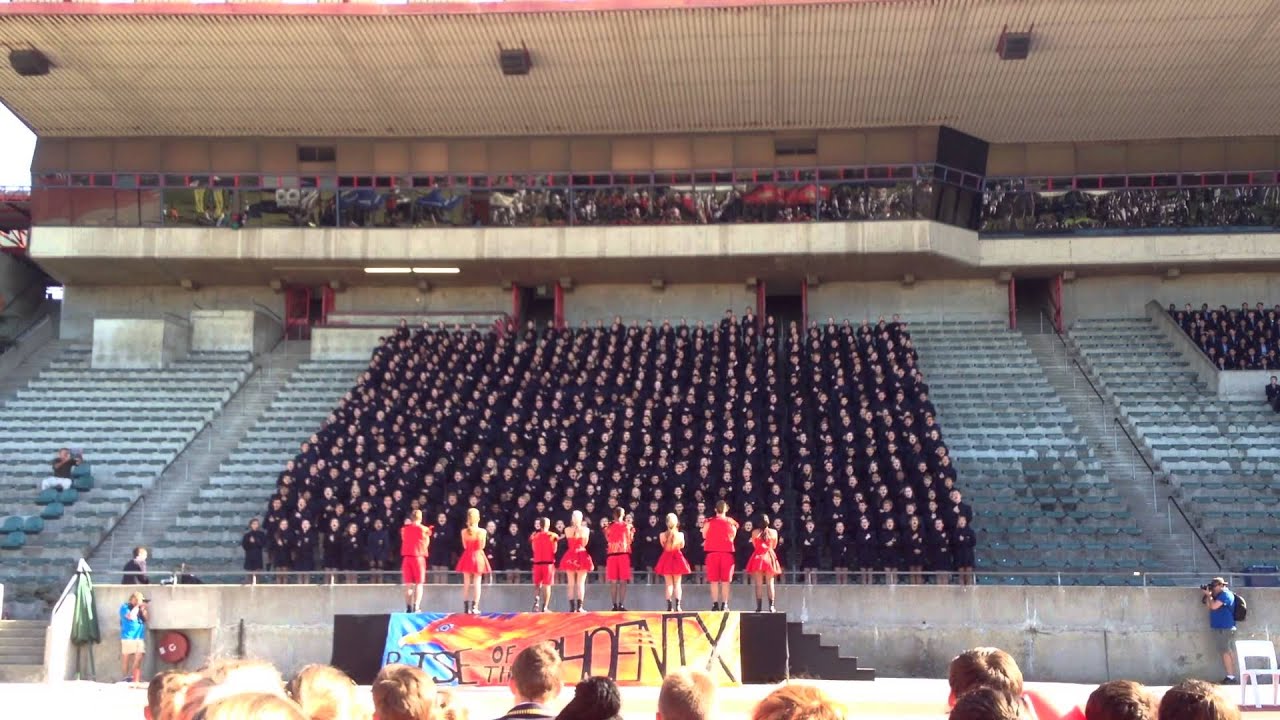 Durbanville High School Ko-ed 2014(Kreet)