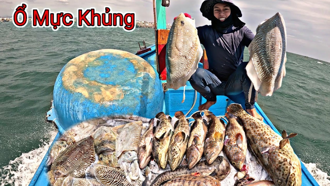 Hai Anh Em Hồi Hộp Đối Mặt Bầy Mực Nang Đang Làm Ổ Khi Lặn Biển Ở Điểm Chà Khơi Xa | P 876