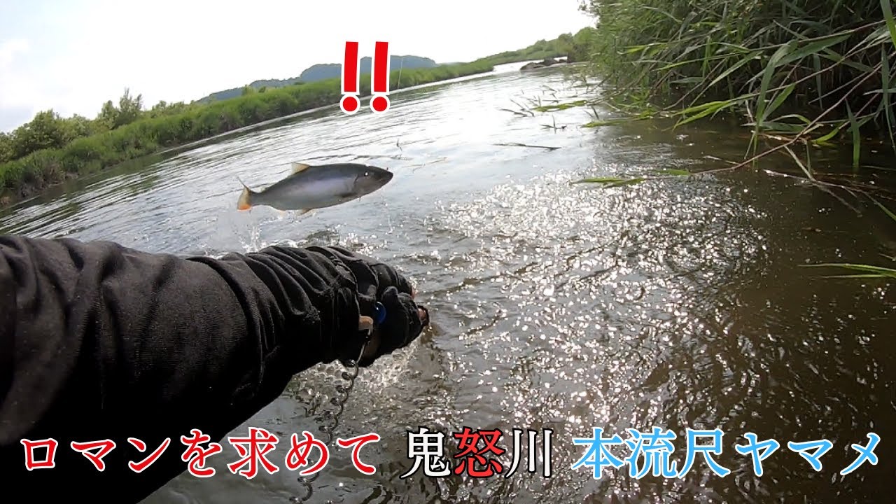 ロマンを求めて！鬼怒川本流尺ヤマメを釣る！【2025本流ヤマメ釣り】