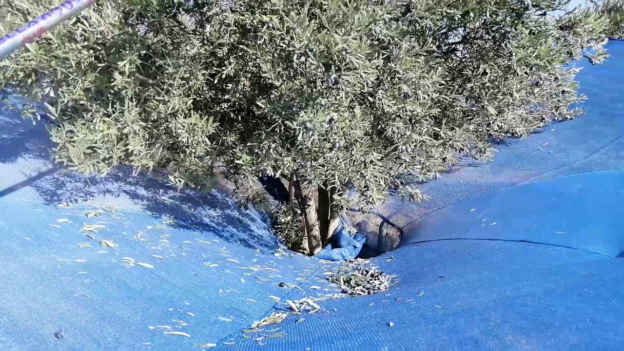 REMA SLK600 MEYVE TOPLAMA ARABASI