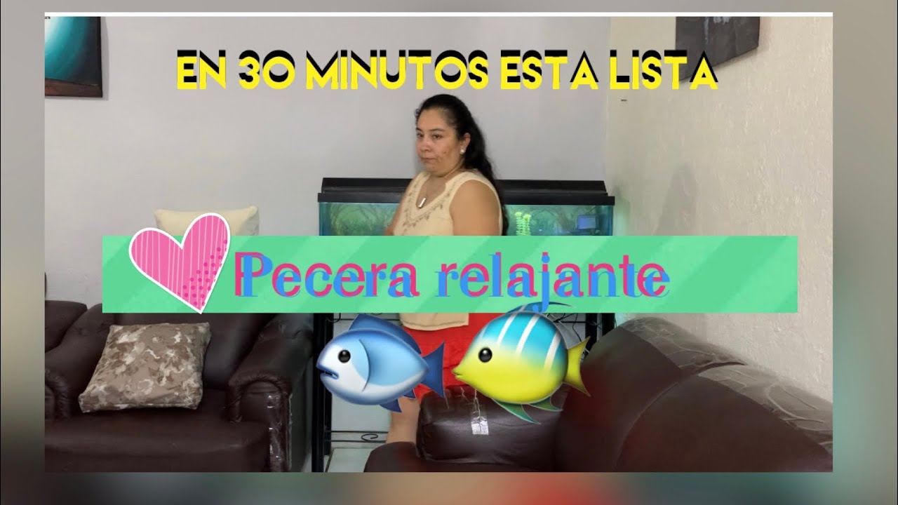 LIMPIANDO PECERA f&aacute;cil y r&aacute;pido/ #peceras #rutinadelimpieza/Claudia Fajardo