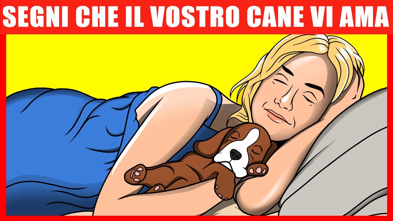14 Segni Che Indicano Che Il Tuo Cane Ti Ama, Confermati dalla Scienza