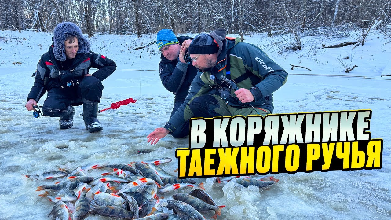 В коряжнике ТАЕЖНОГО РУЧЬЯ по ПЕРВОМУ льду осталась КУЧА окуня и щуки!