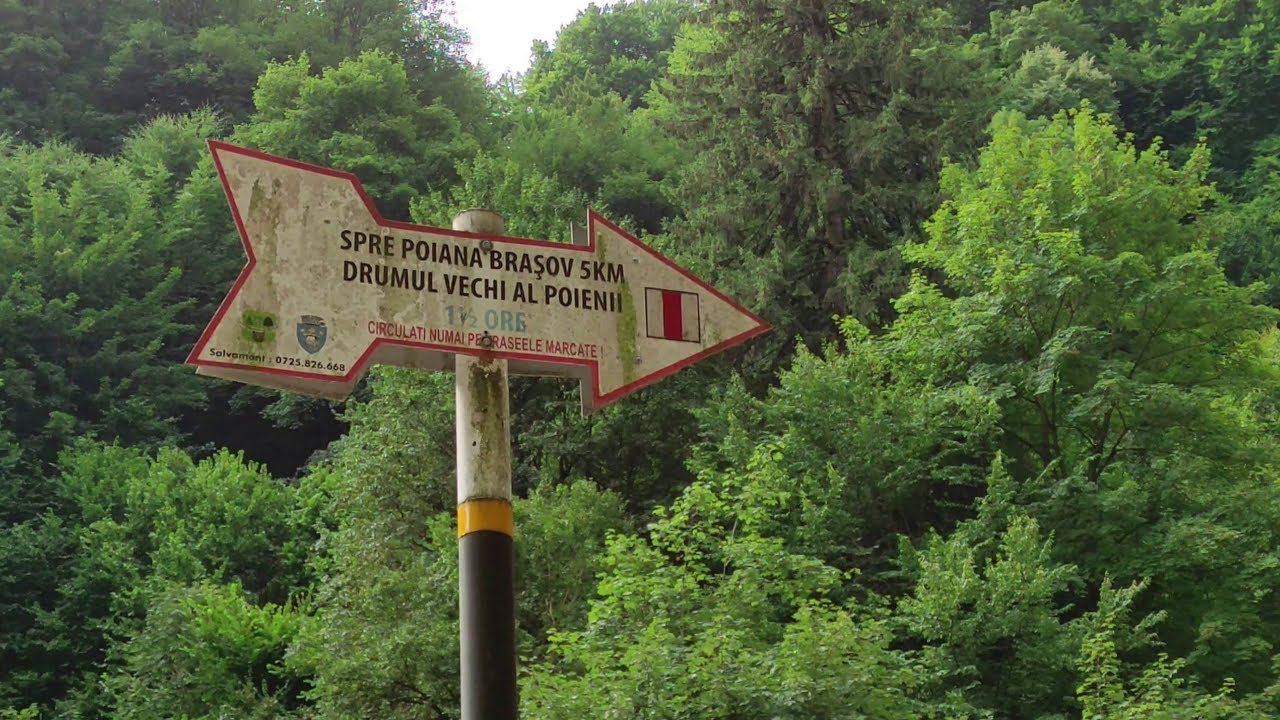 🚶‍♂️La pas👉Spre Poiana Brașov - Drumul Vechi Al Poienii (12/08/2021) ASMR [Tur Complet]