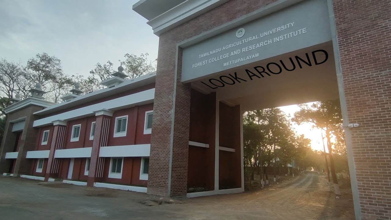 Look Around // Day - 2 // Mettupalayam Forest College