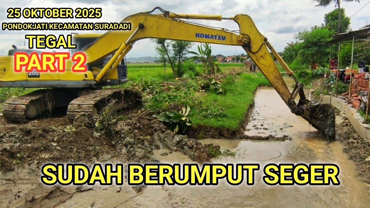 Tebal Pokoknya Lumpur Disini Kalau Sudah Ditumbuhi Rerumputan 