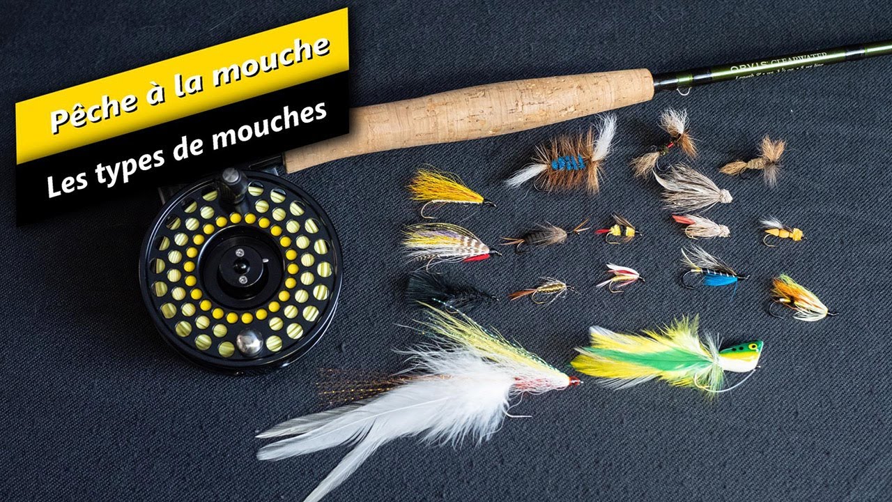 Capsule 7 : Les types de mouches
