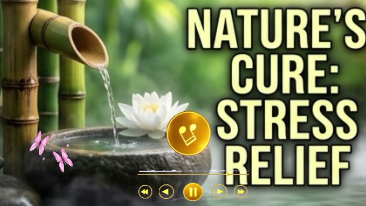 🎧 Relaxing Water Piano Music 🌿 Deep Meditation, Yoga & Stress Relief