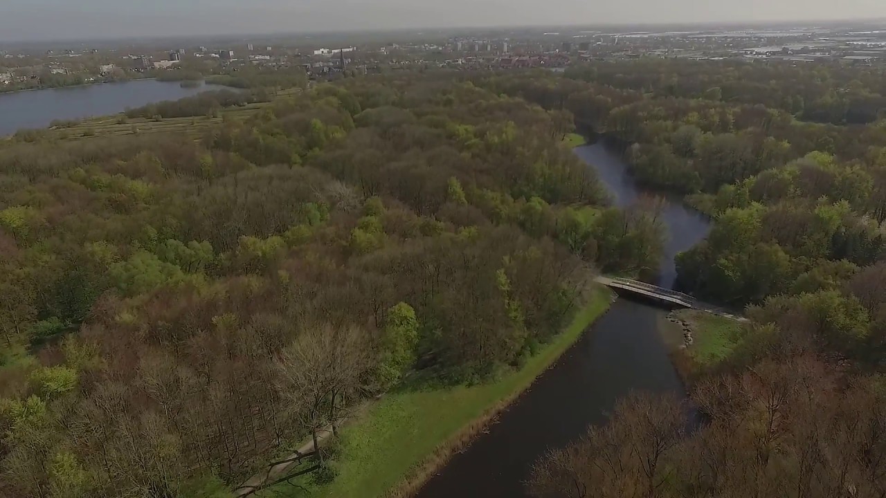 Amsterdamse Bos | Aerial View