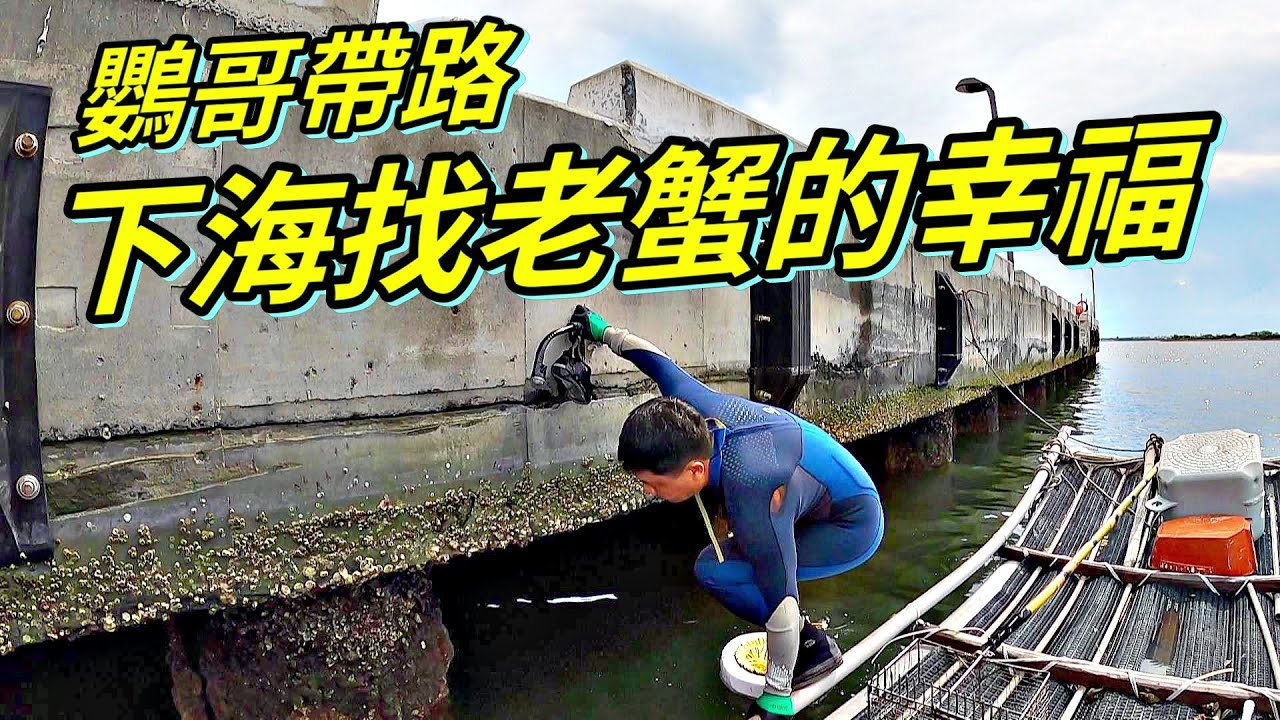 【老蟹愛釣魚】跟著鸚哥下海找蟹老闆的幸福，有鸚哥帶路這下應該是穩了