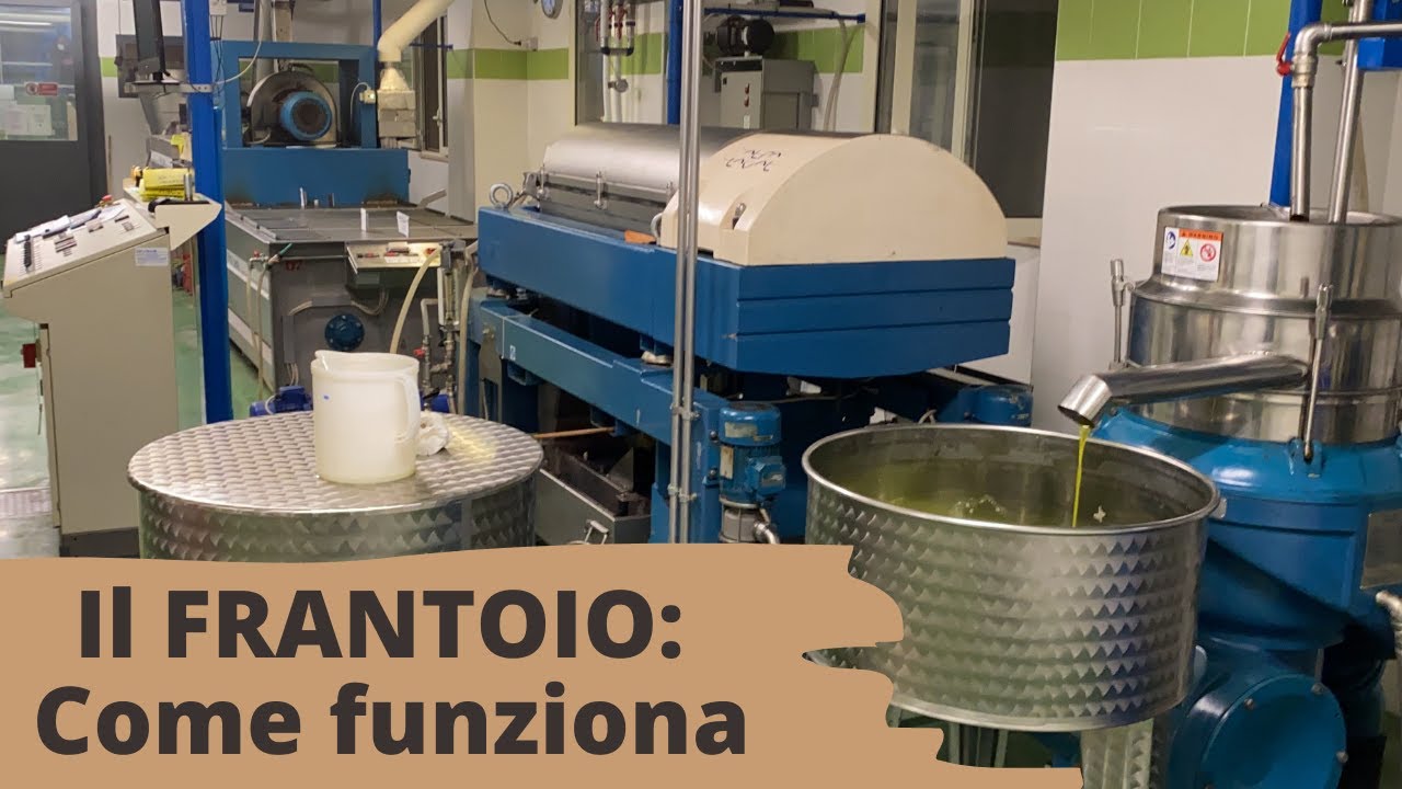 FRANTOIO a freddo: come funziona