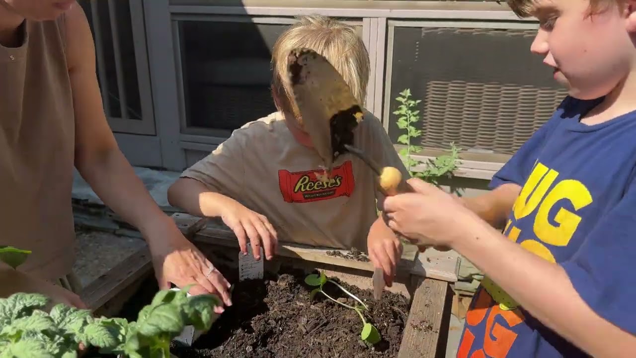 Boys Garden 2025