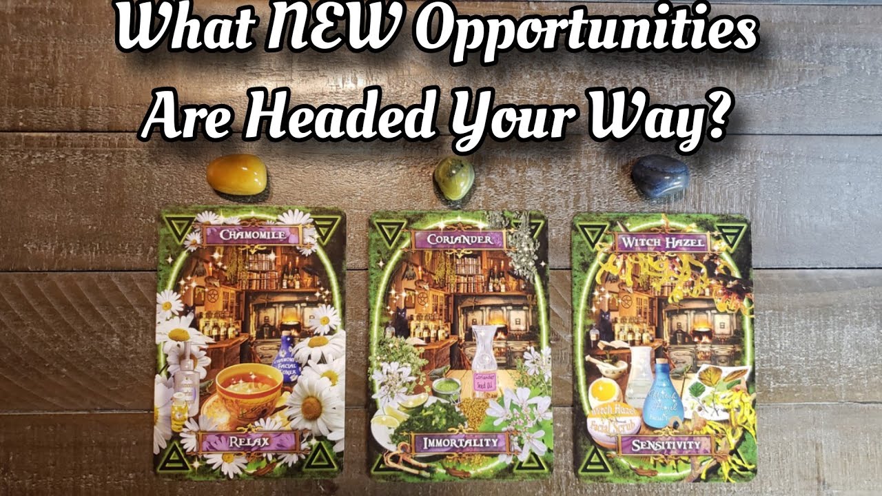 🌟🙏 What NEW Opportunities Are Headed Your Way! 🌟🙏 Pick A Card Reading