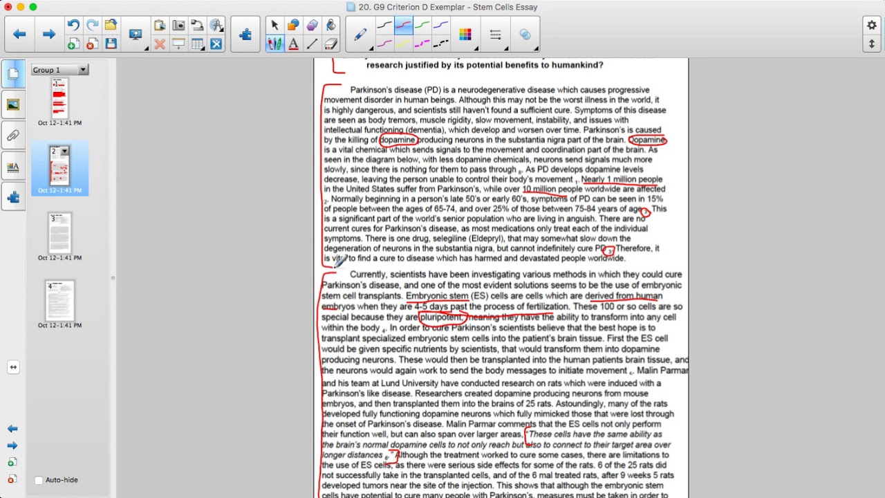 Criterion D Science Essays Explained