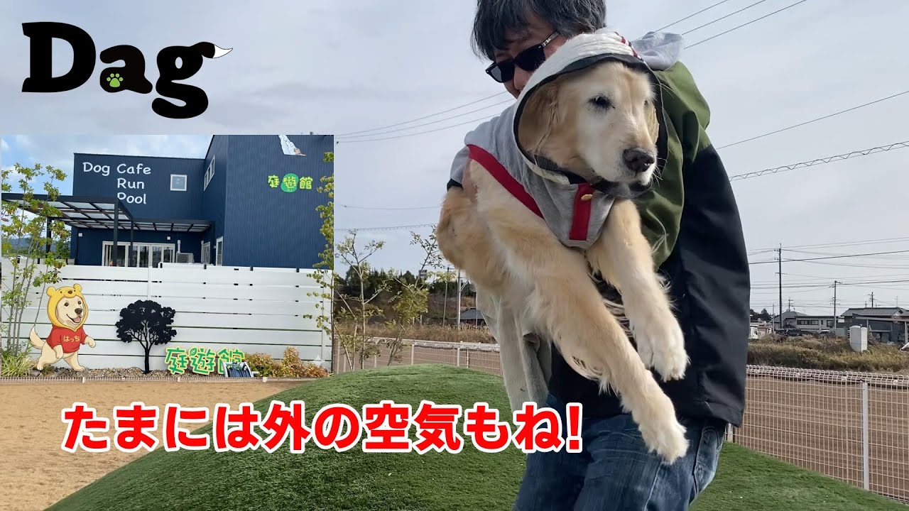 【体の事】はっちが倒れて2年が経過しようとしていますが、元気いっぱい食欲旺盛ですからね。