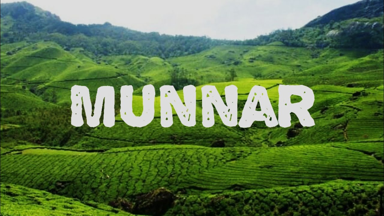 Munnar  where the clouds pause and peace begins#munnar #teagarden 