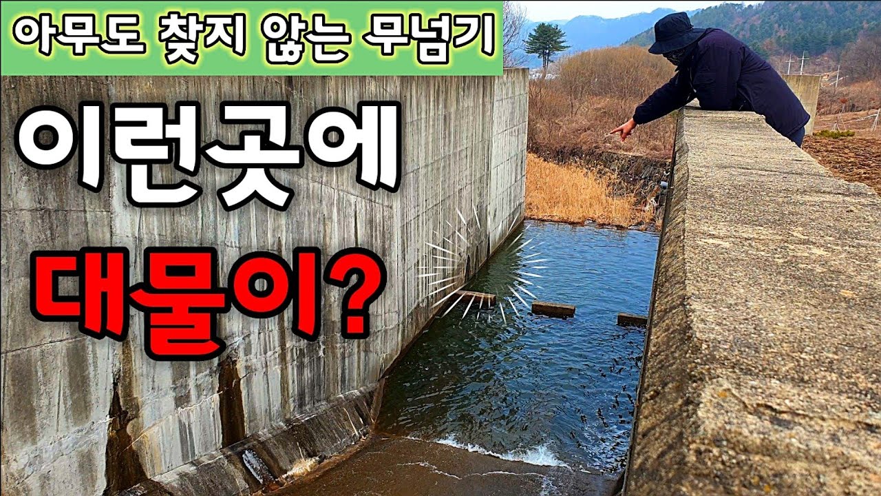 팔둑만한 대물을 먹어보자! 상상도 못한 녀석이 숨어있던 무넘이...잊지 못할 맛있는 술안주 자급자족