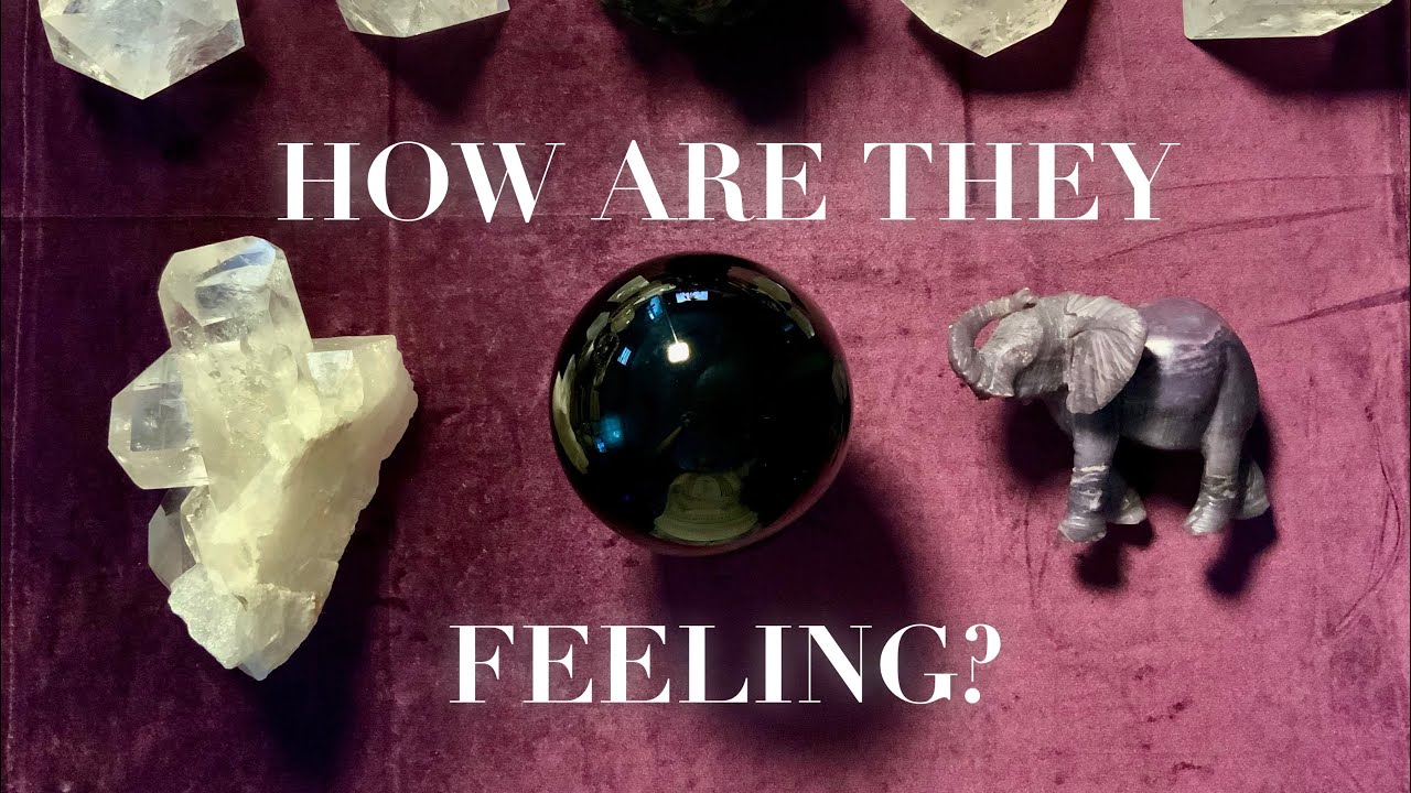 🕊️🦚✨How are they FEELING about YOU? + Channeled MESSAGES 🪺 Pick a Card Tarot Oracle Love Reading✨🦚🕊️