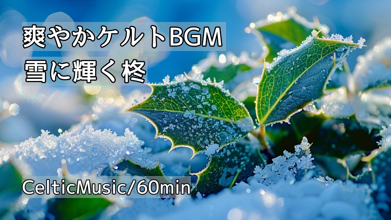 【爽やかケルトBGM】雪に輝く柊 ｜ 寒さの中で感じる生命の力強さと清々しい旋律 ｜ リフレッシュ・リラックス・作業用