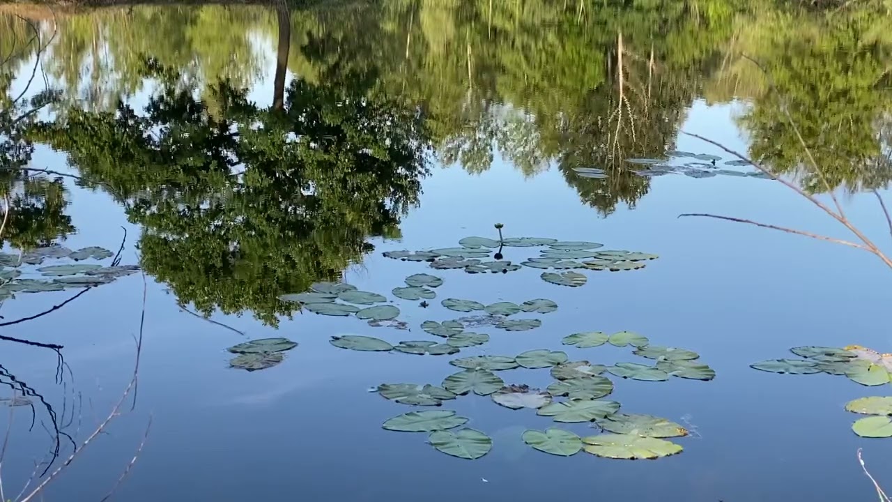 Gabajeva Greda mir i spokoj prirode