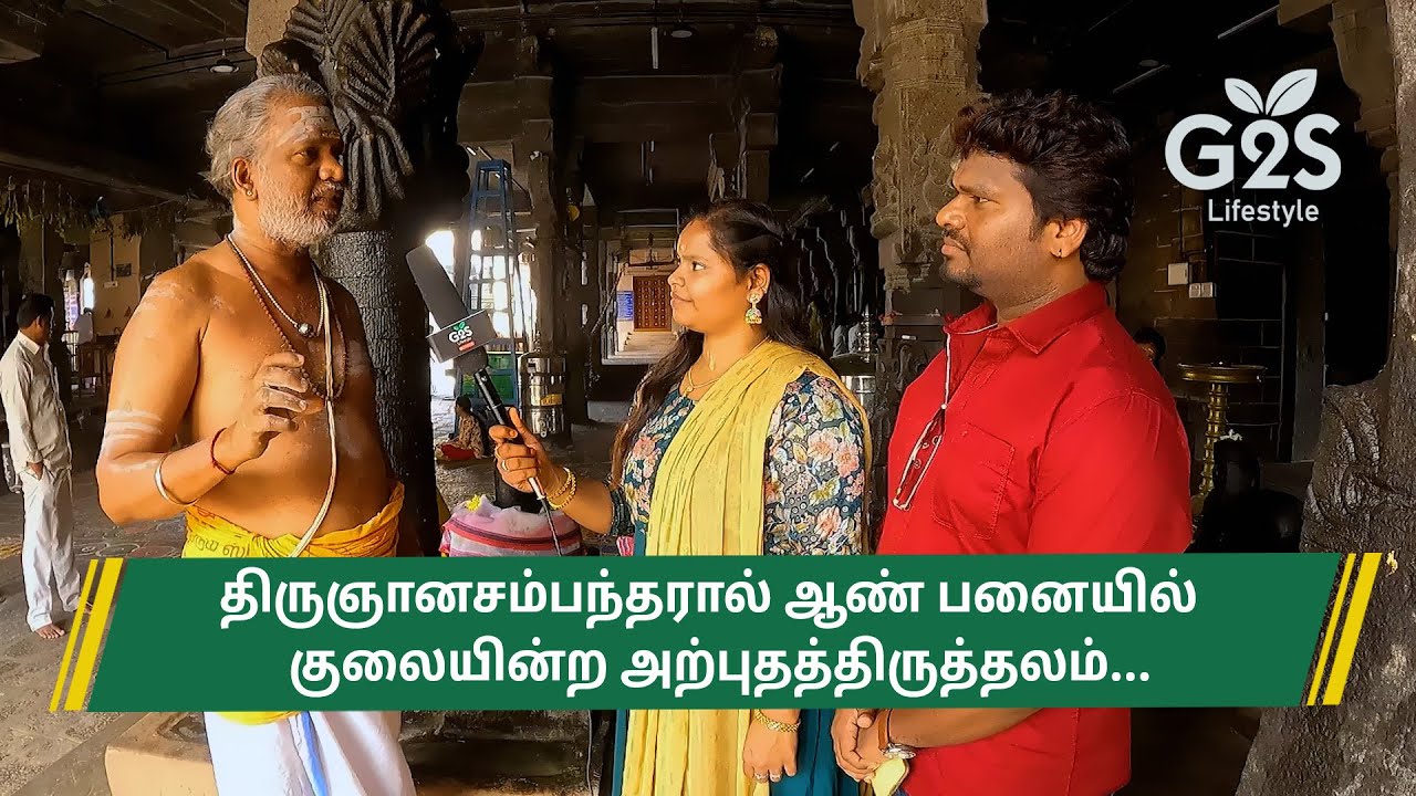 ஸ்ரீ வேதபுரீஸ்வரர் திருக்கோவில் | செய்யாறு | Sri Vedapureeswarar Temple | 2024